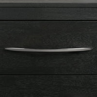 Allan King 4PC Bedroom Set with 2 Nightstands & Chest in Black