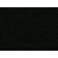 Hampton Chair In Fiero Black (Top Grain/PVC)