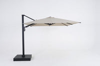 Spring Palms 10' Offset Umbrella